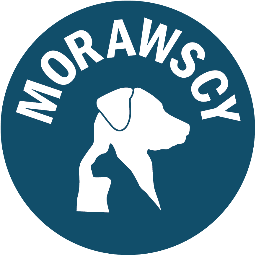 Logo z sylwetką psa i kota na niebieskim tle z napisem Morawscy